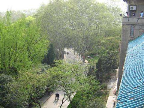 珞珈山综合职业技术学院(珞珈山综合职业技术培训学院)