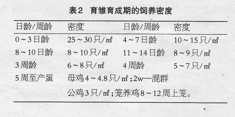 刚出生几天的小鸡怎么养(刚出生几天的小鸡怎么养才能活)