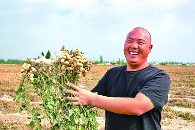 盐碱地能不能种玉米(盐碱地种植玉米注意事项有哪些)
