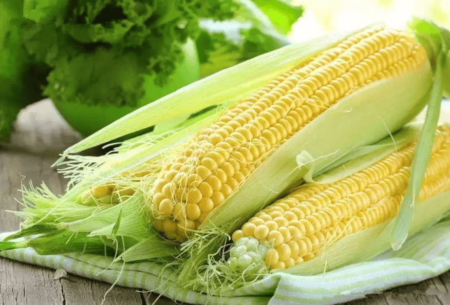 白玉米和黄玉米(白玉米和黄玉米哪个热量高)