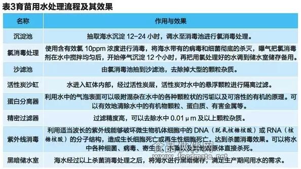 对虾养殖技术管理(对虾养殖技术大全一书)