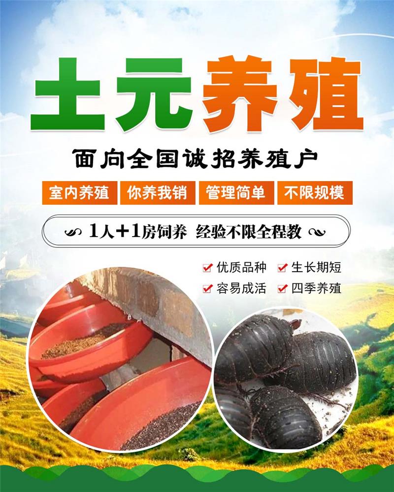 土元养殖及技术(土元养殖技术教学)