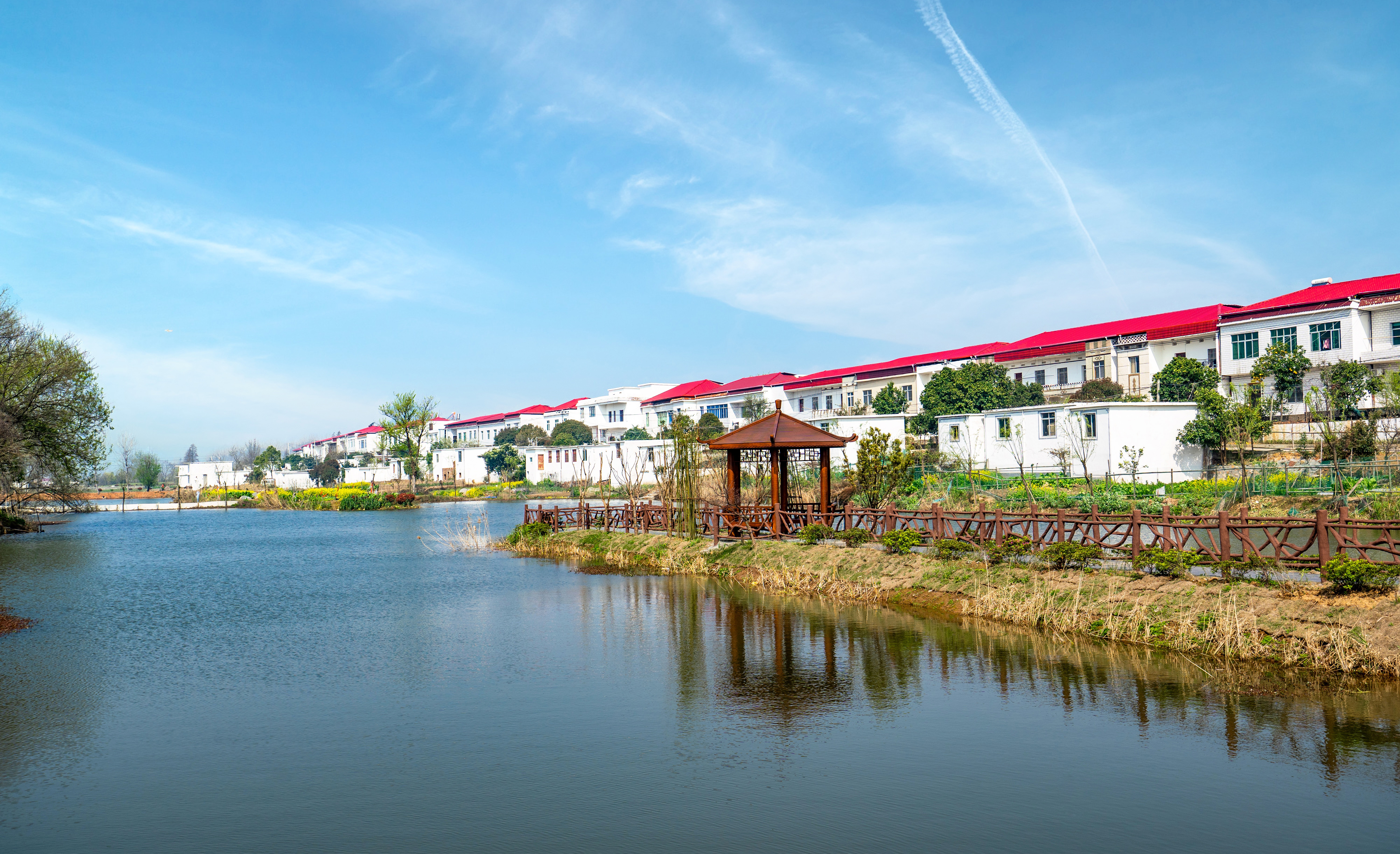 山东新农村建设(山东新农村建设房子图片)