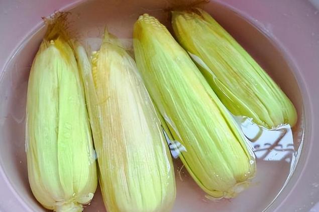 鲜玉米储存保鲜技术(鲜玉米贮藏方法与技术)