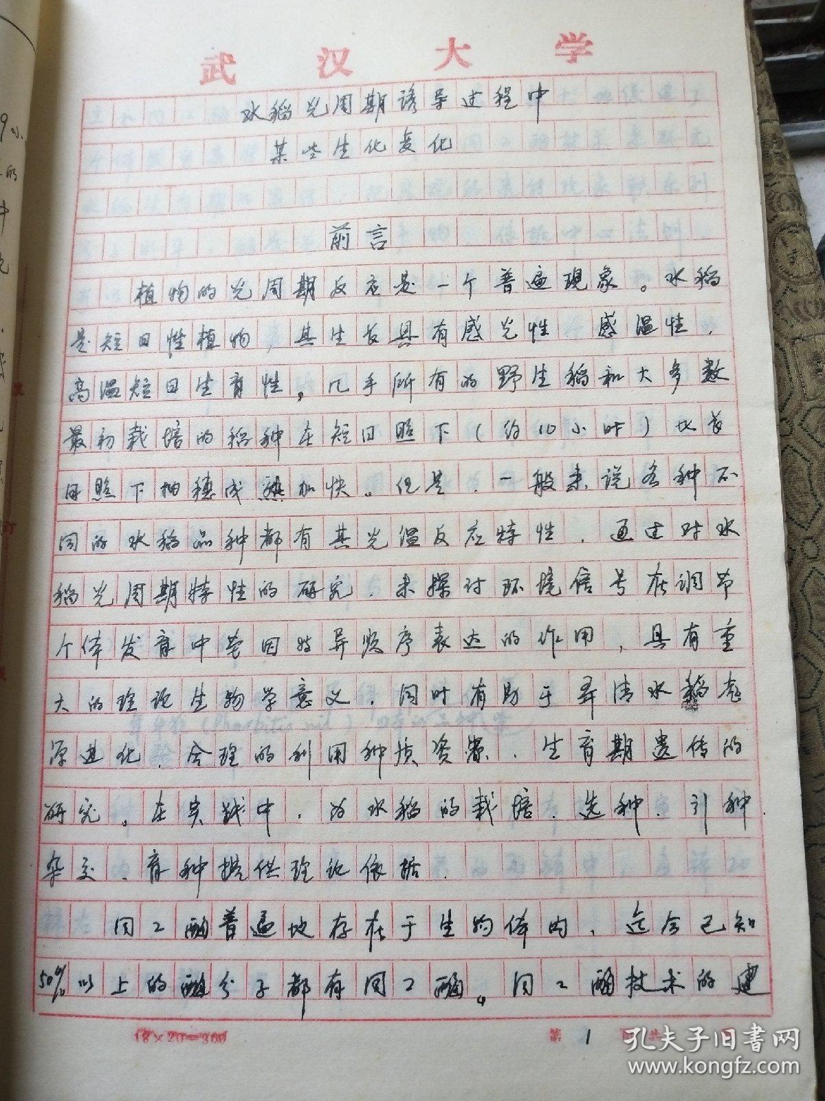 水稻种植论文(关于水稻种植业的论文)