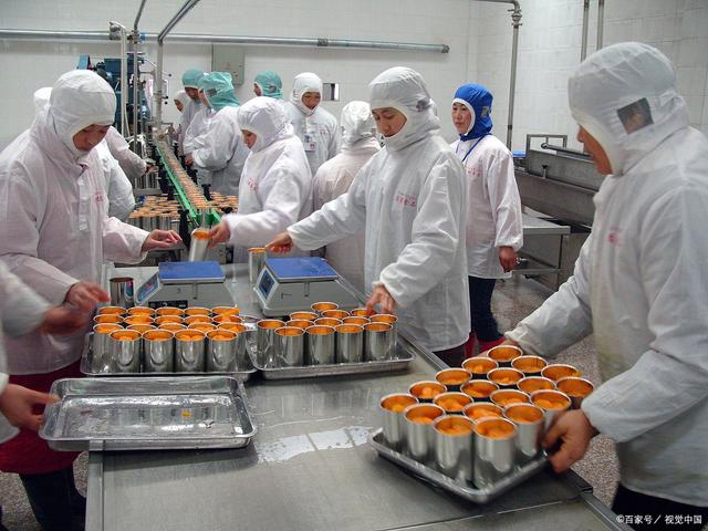 做食品加工(做食品加工销售需要办理什么证)