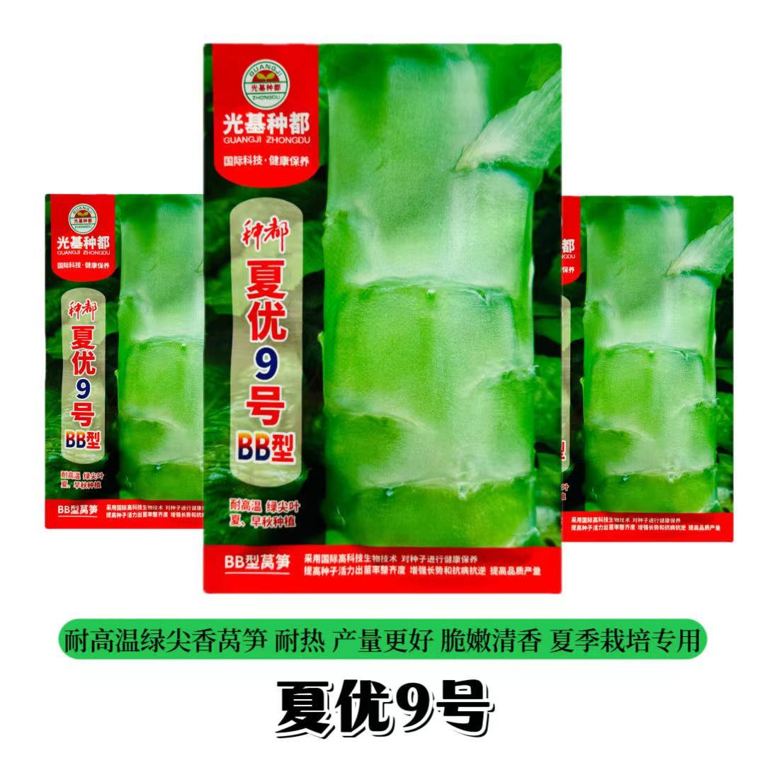夏莴笋栽培技术(夏莴苣什么时间下种)