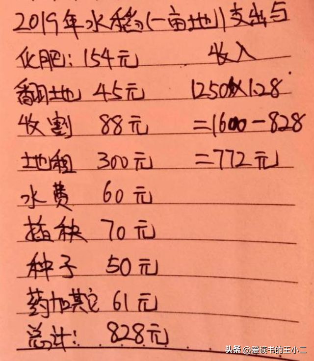 北方水稻种植时间(北方水稻什么时候成熟)