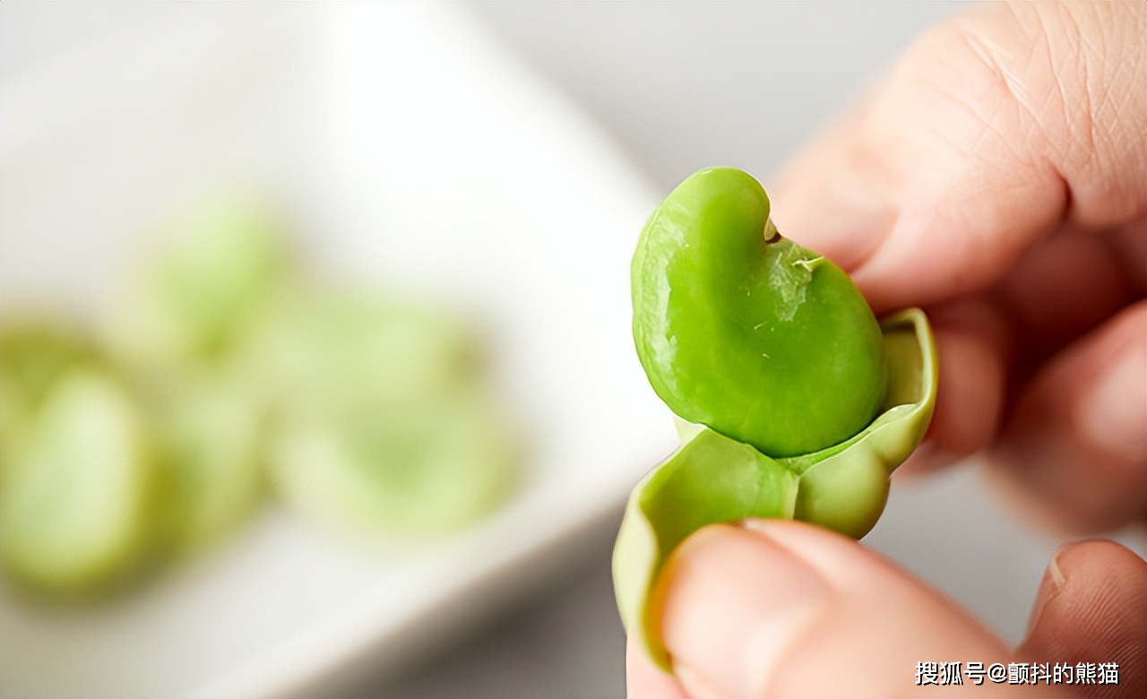 蚕豆的养殖方法(蚕豆种植技术与栽培)