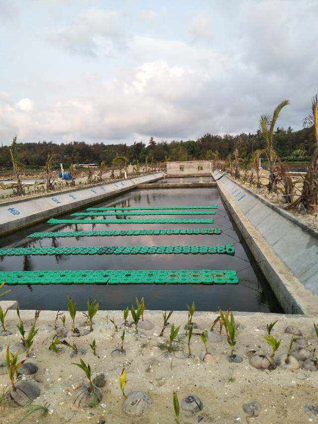武汉忠顺水产养殖有限公司(武汉梁子湖水产品加工有限公司)