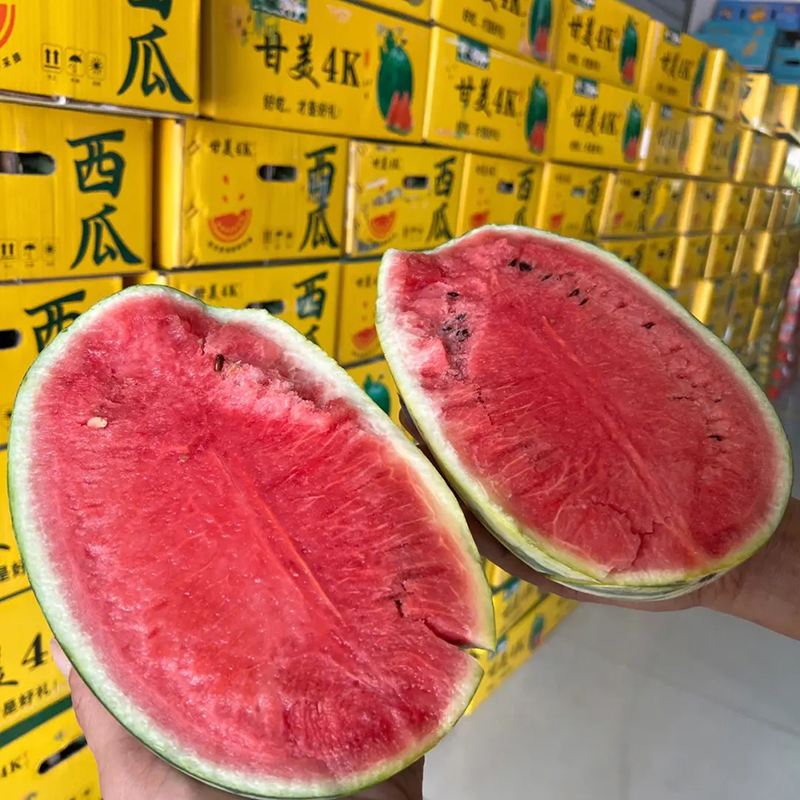 西瓜种子哪个牌子好(国内最有实力的西瓜种子公司)