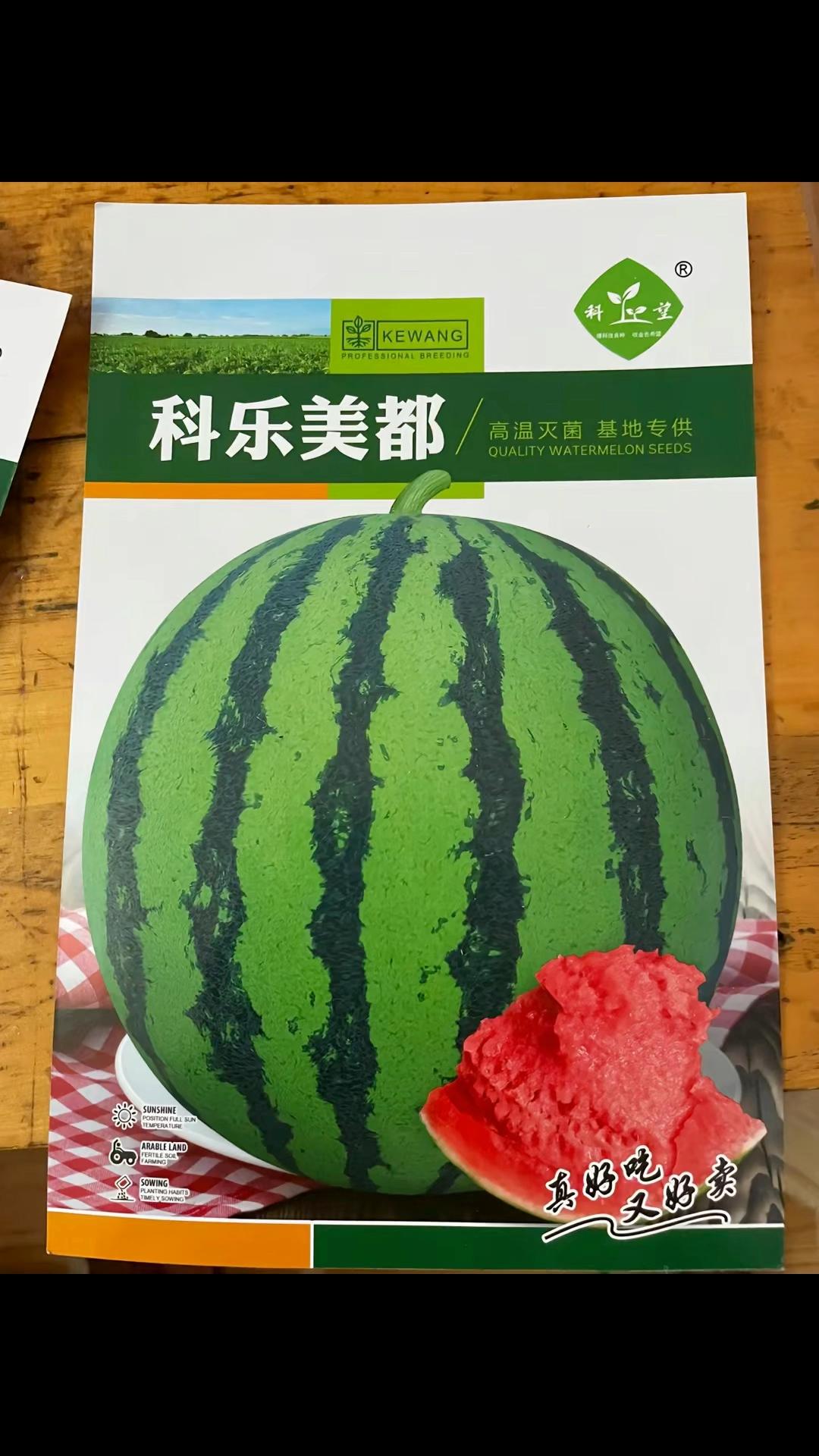 西瓜种子哪个牌子好(国内最有实力的西瓜种子公司)