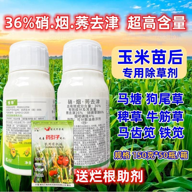拌玉米种的农药(拌玉米种的农药有哪些)
