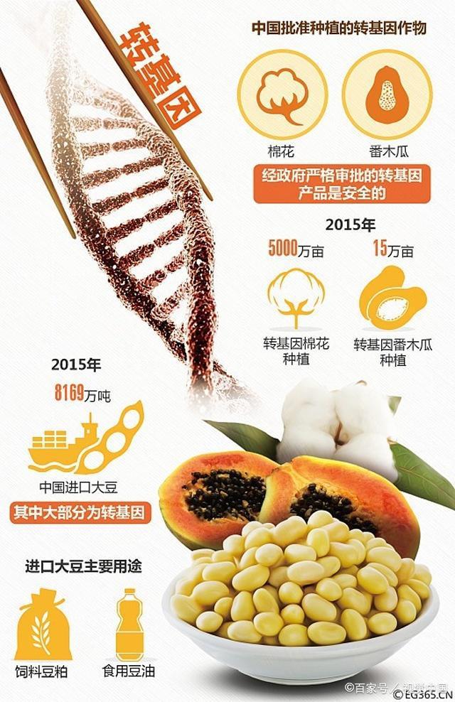 四大转基因作物(我国转基因作物名单)
