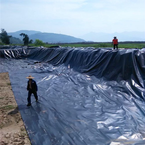 水产养殖业防渗膜(水产养殖防水布施工方法)