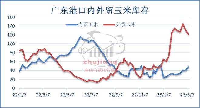 当前玉米市场价格(当前玉米市场价格多少钱一斤)