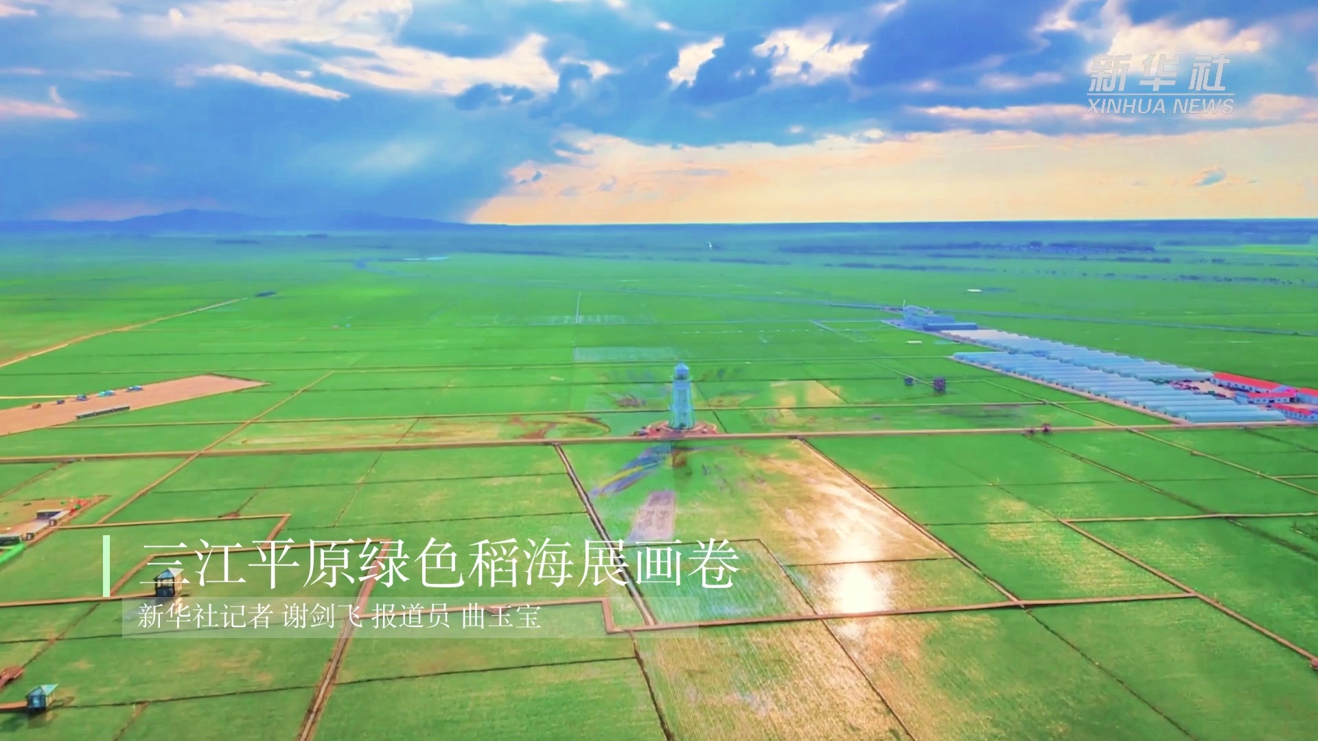 三江平原水稻种植(三江平原水稻种植面积)