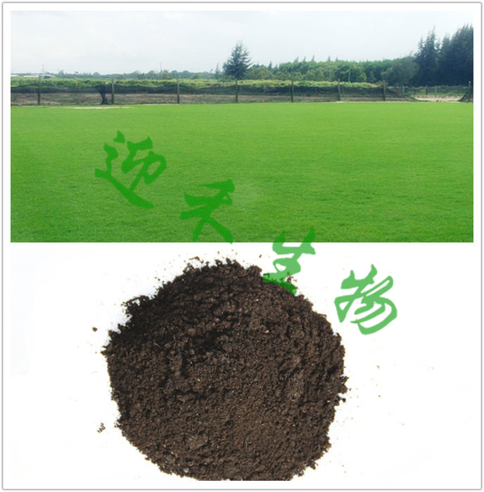 草皮施肥用什么肥料(草皮用尿素还是复合肥)