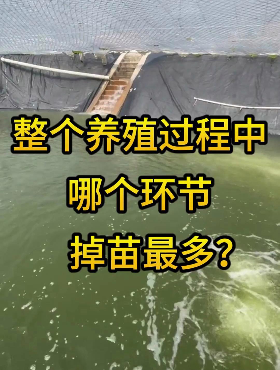 水产养殖的步骤(水产养殖技术什么最有前景)