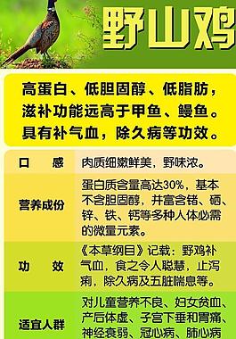 养殖野山鸡需要什么证件(养殖野山鸡需要什么证件和手续)