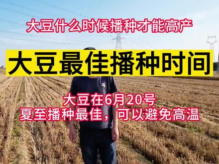 大豆的播种时间(大豆的播种时间节气)