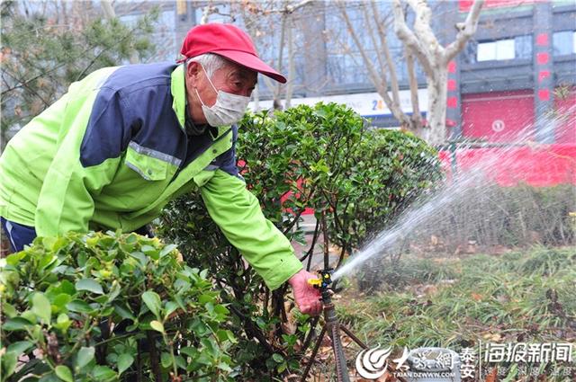道路绿化灌溉(绿化灌溉给水管道规范)