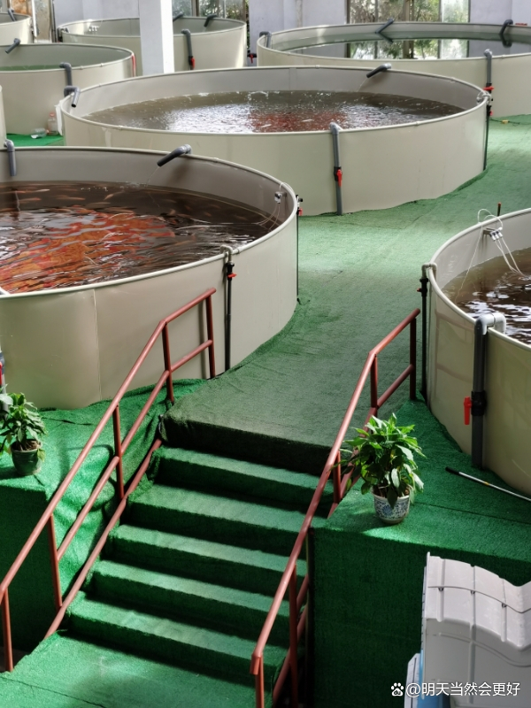 设备水产养殖(水产养殖项目介绍)