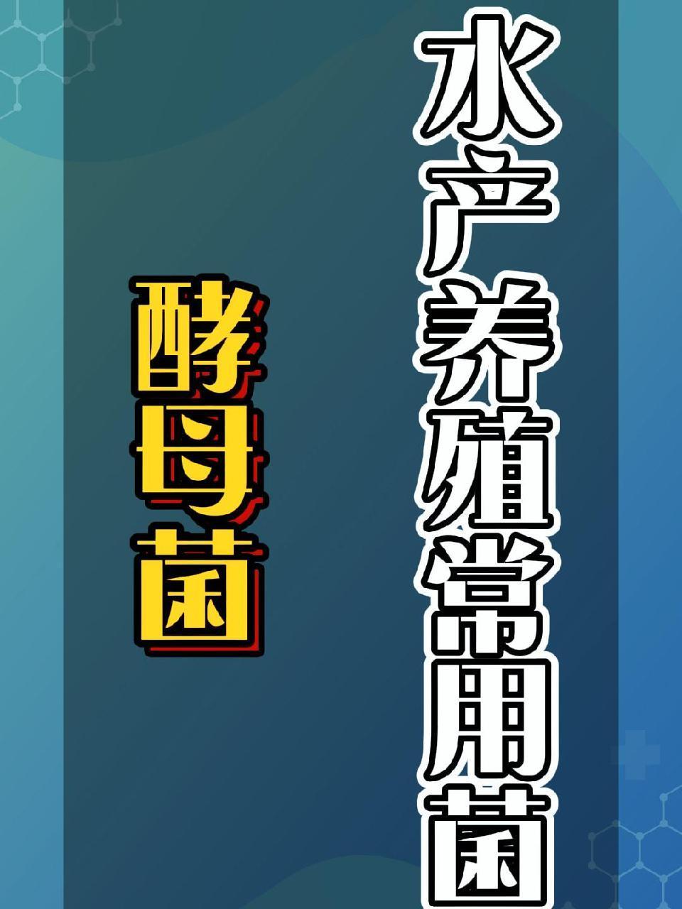 水产养殖网南美白价格(水产养殖南美白对虾技术)