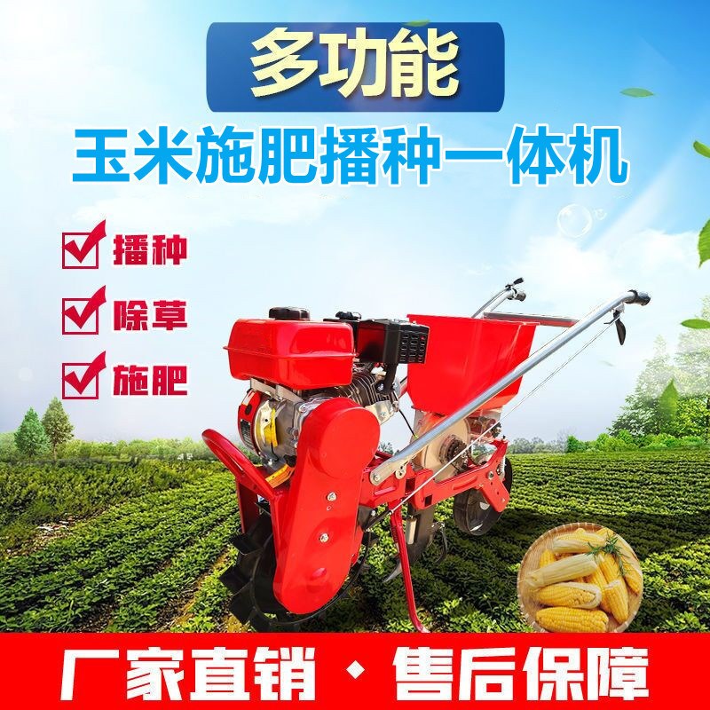 玉米种植施什么肥(玉米种什么肥料最好)