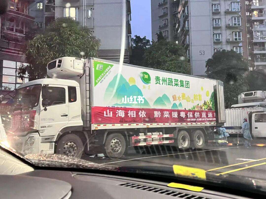 深圳蔬菜供应商(深圳蔬菜配送的供应商)