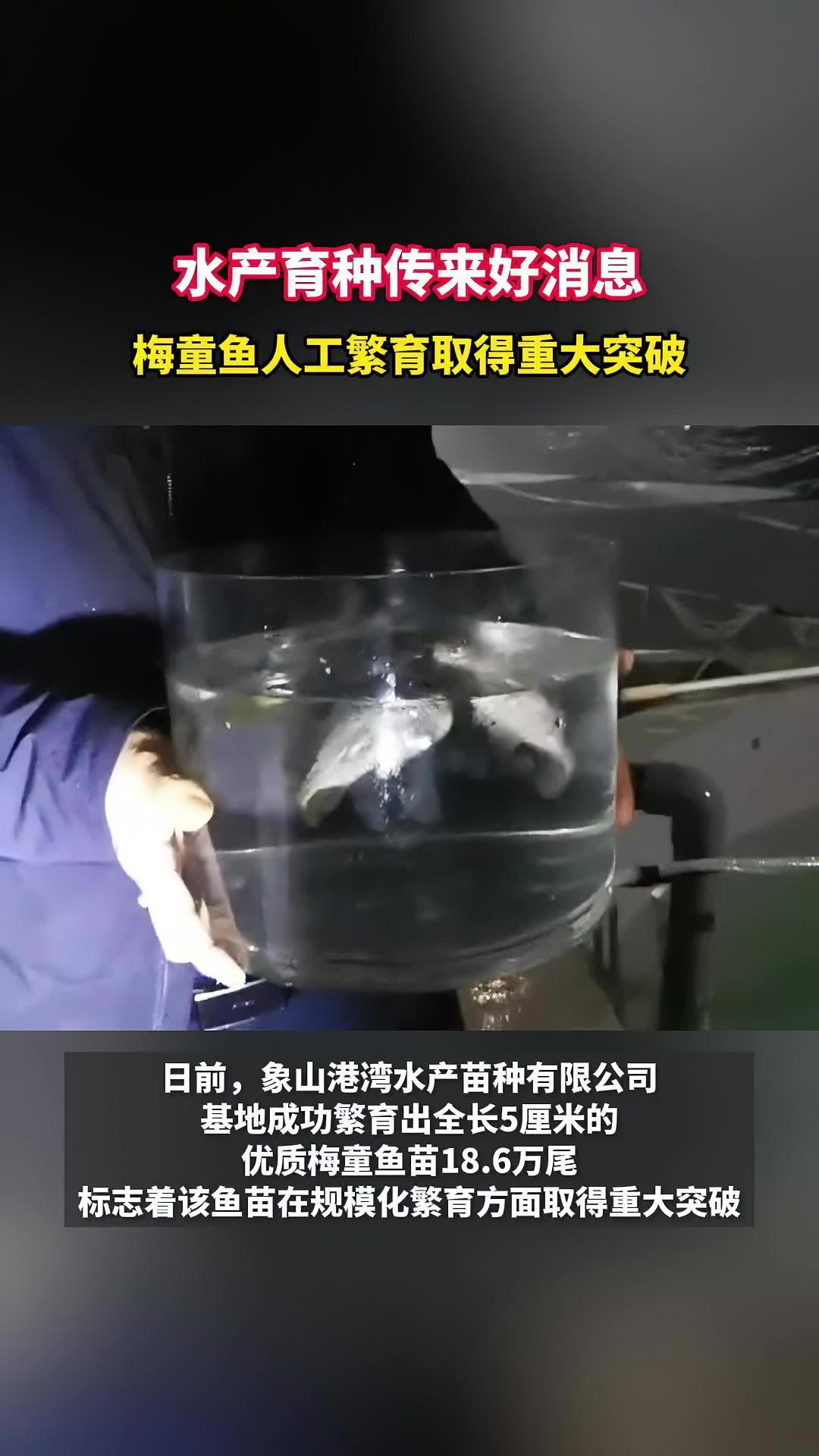 水产品养殖什么好(水产品养殖什么好呢)