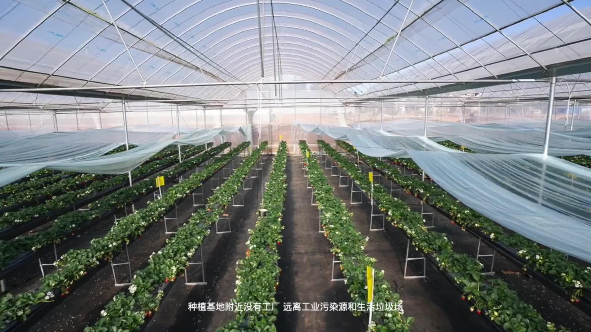 蔬菜无土栽培新技术(蔬菜无土栽培新技术研究)