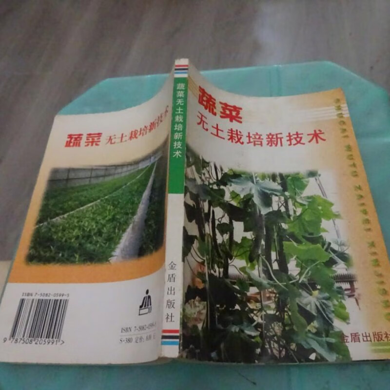 蔬菜无土栽培新技术(蔬菜无土栽培新技术研究)