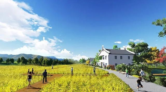农村建设(农村建设用地审批手续办理流程)