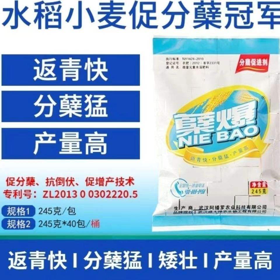 水稻育苗剂(水稻育苗技术指导视频)