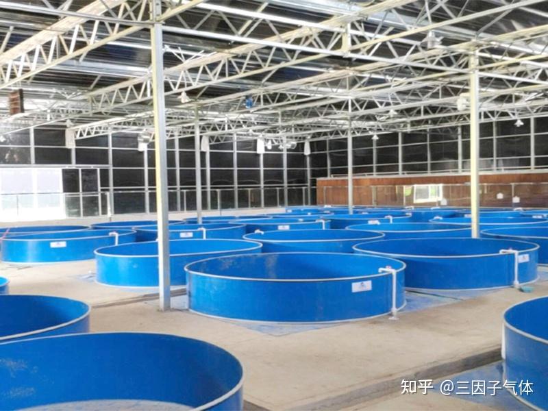 什么水产养殖好(什么水产养殖好养活)
