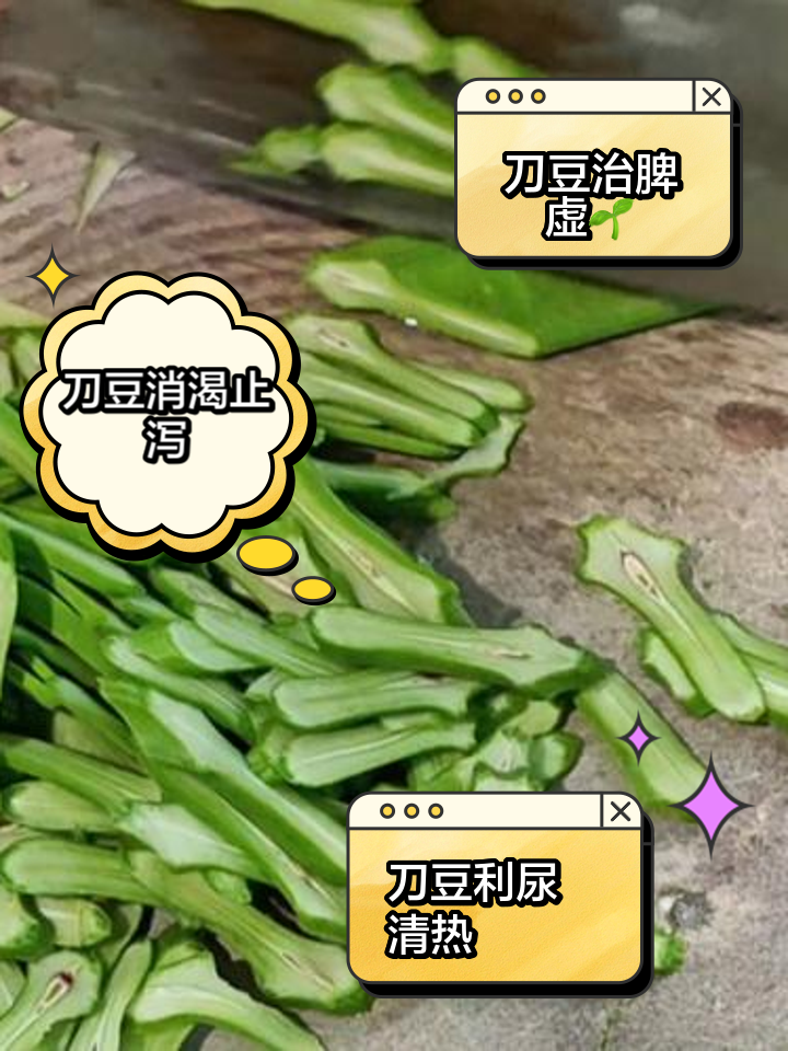 刀豆几月份播种(刀豆是什么季节种的)