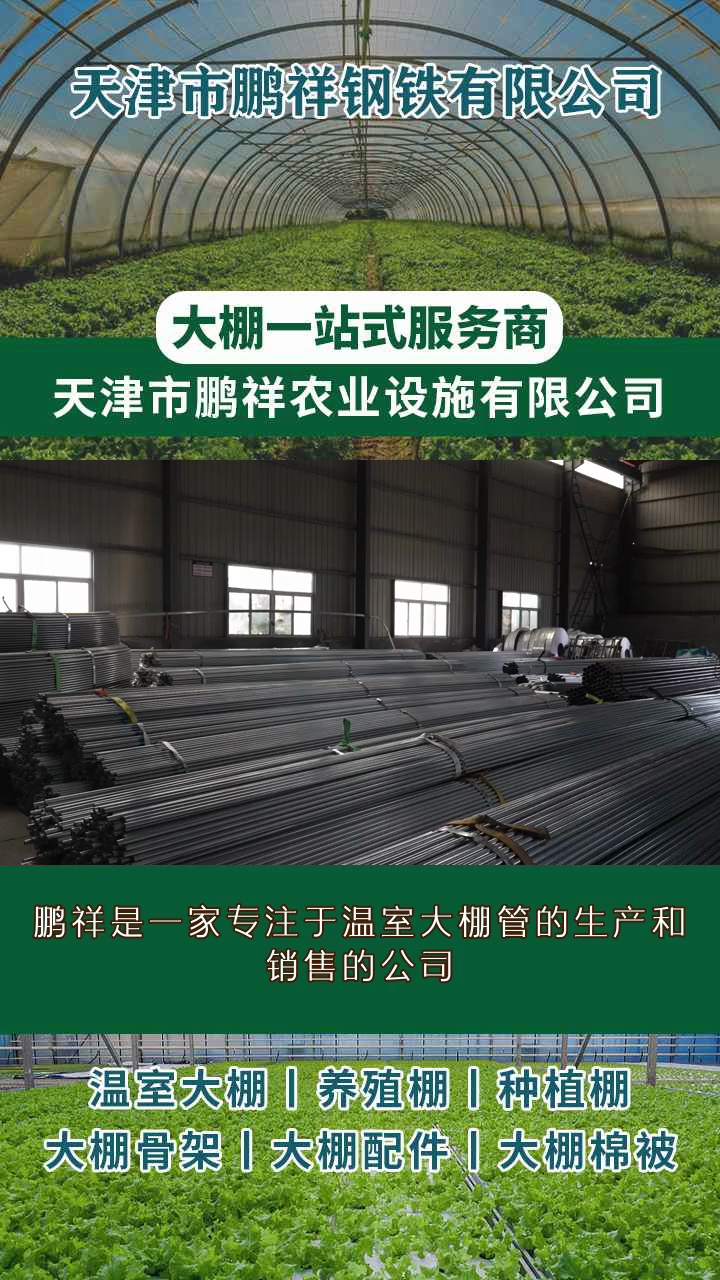 农村建设大棚多少钱(2019农村建大棚补助多少钱?)