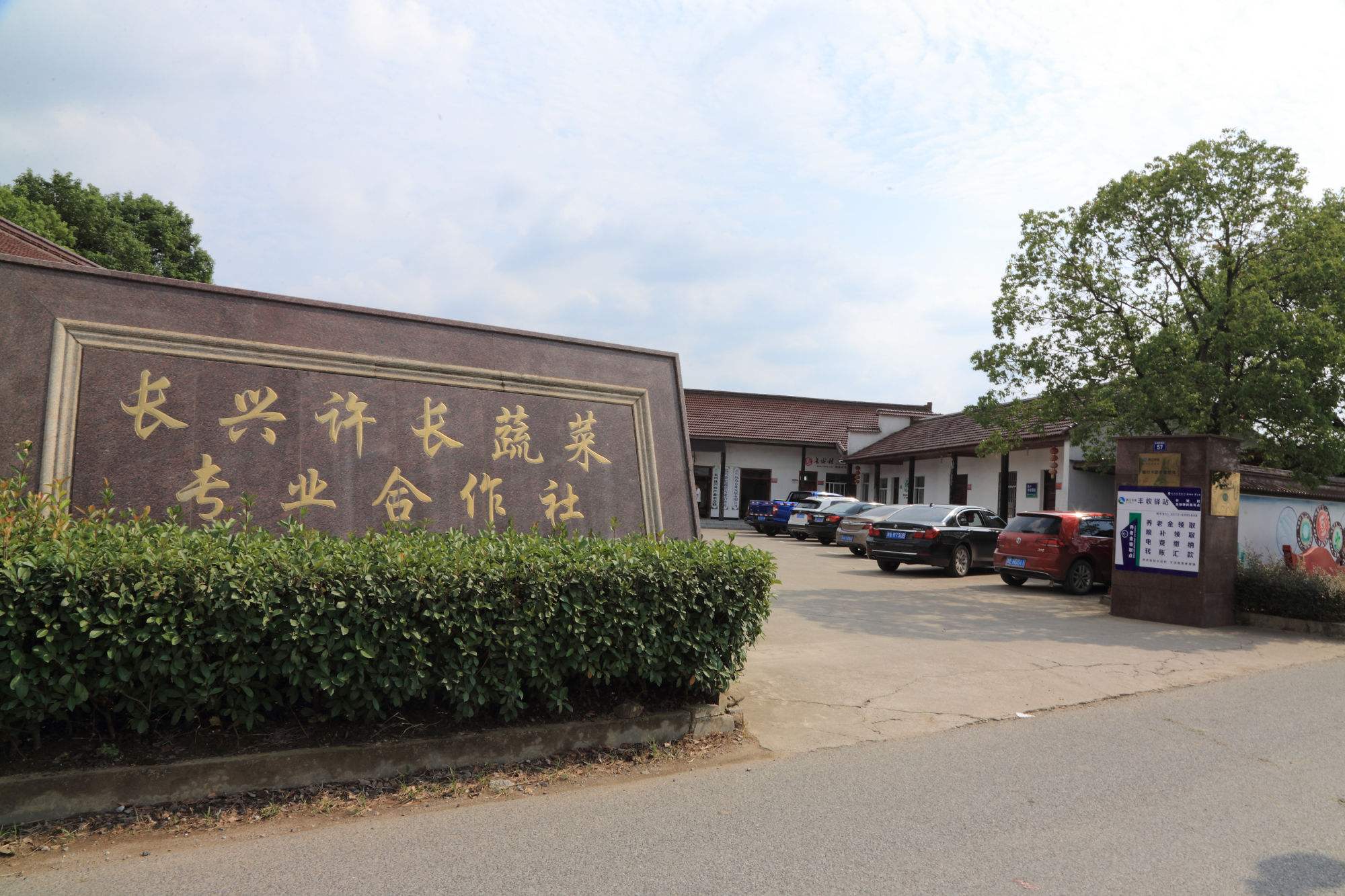 长兴蔬菜批发(长兴县最大的菜市场)