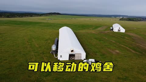 肉鸡饲养,现在养殖蛋鸡怎么样,,1.24,9,低,疑问词的简单介绍