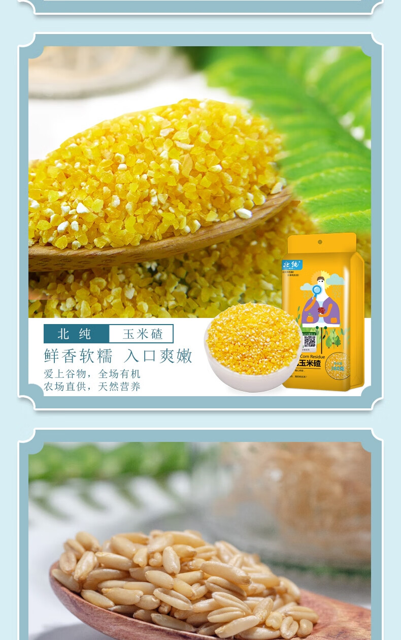 京科2177玉米品种(京科278玉米种子简介)