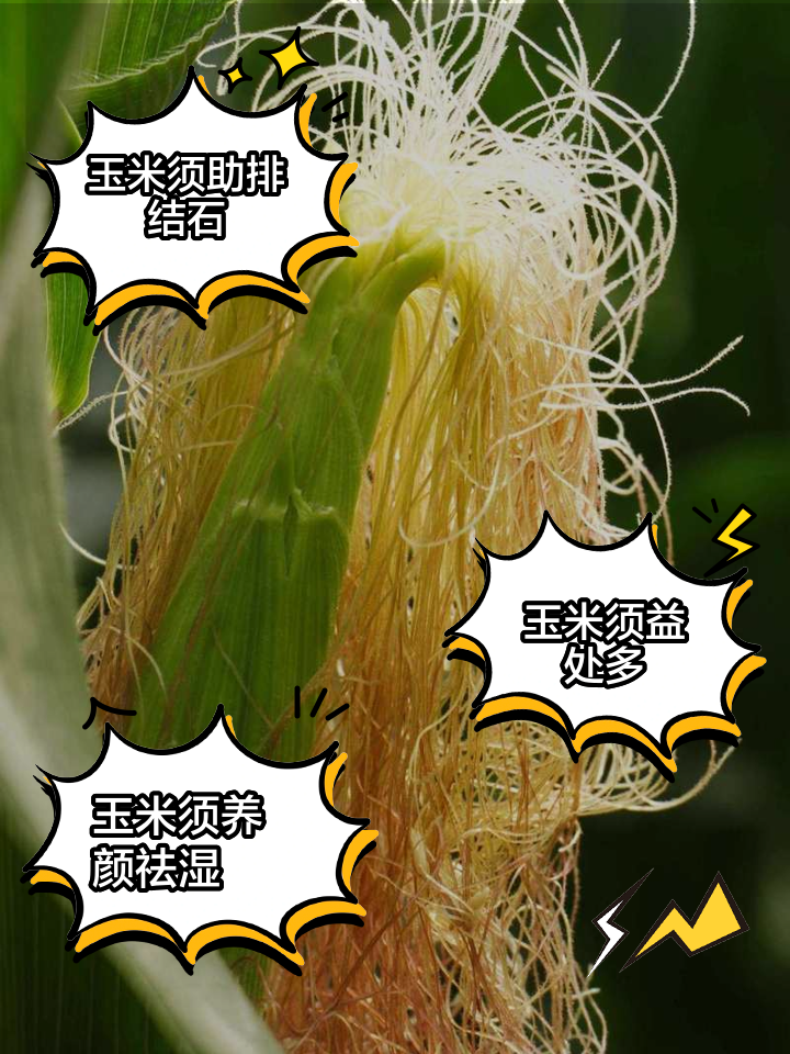 玉米乌米的功效与作用(玉米乌米的功效与作用吃法)
