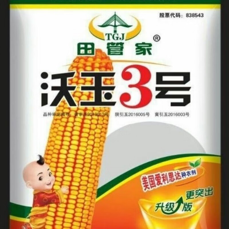 种玉米的种子(种玉米的种子还要用水泡吗)