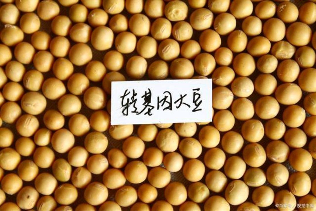 大豆加工新技术(大豆加工新技术有哪些)