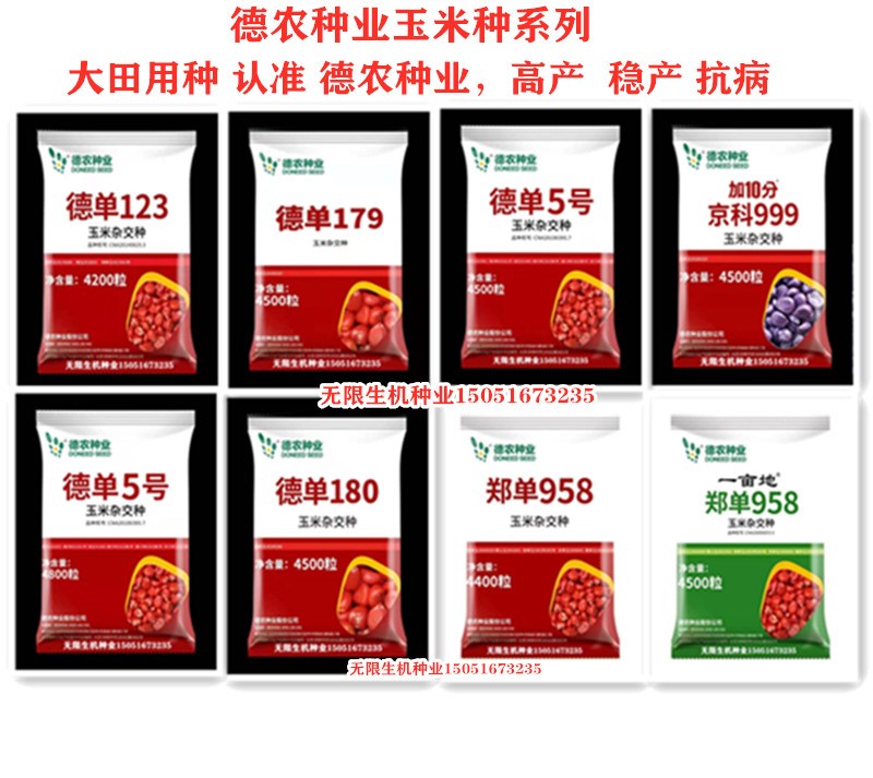 怎么种玉米种子(怎么种玉米种子?)