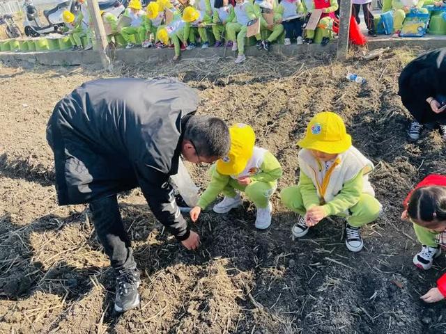 幼儿园种植水稻(幼儿园种植水稻教案)