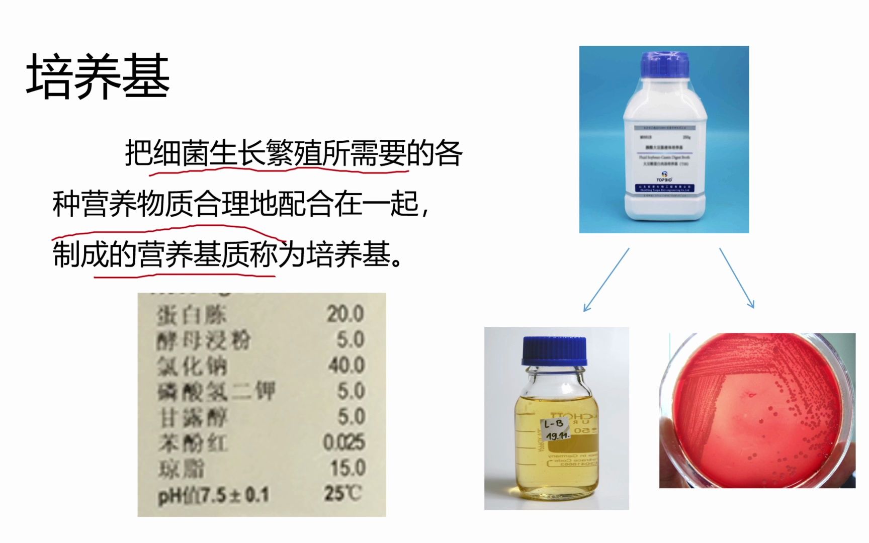 细菌生长繁殖的方式和条件(细菌生长繁殖的方式和条件是)
