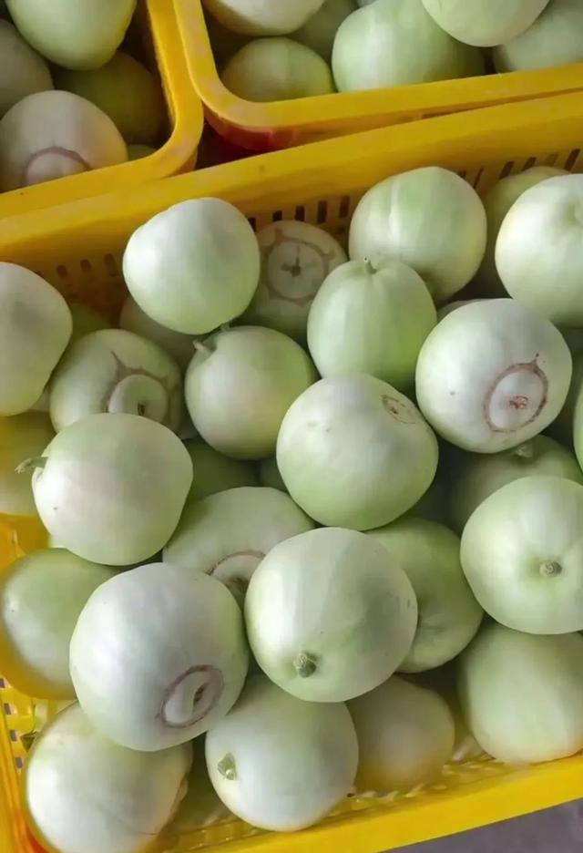 关于8月份至10月份种什么菜的信息