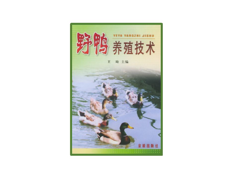 肉鸭饲养管理技术(肉鸭饲养管理技术规范)