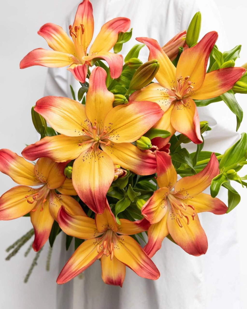 百合的花后管理(百合花的养殖方法)